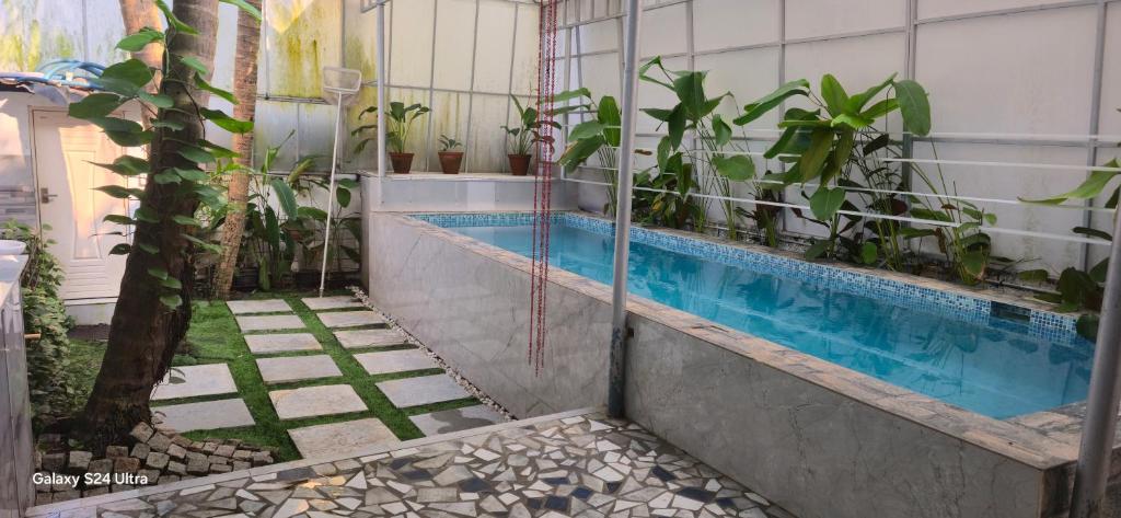 a swimming pool with plants on the side of a building at sea zars villa in Cochin