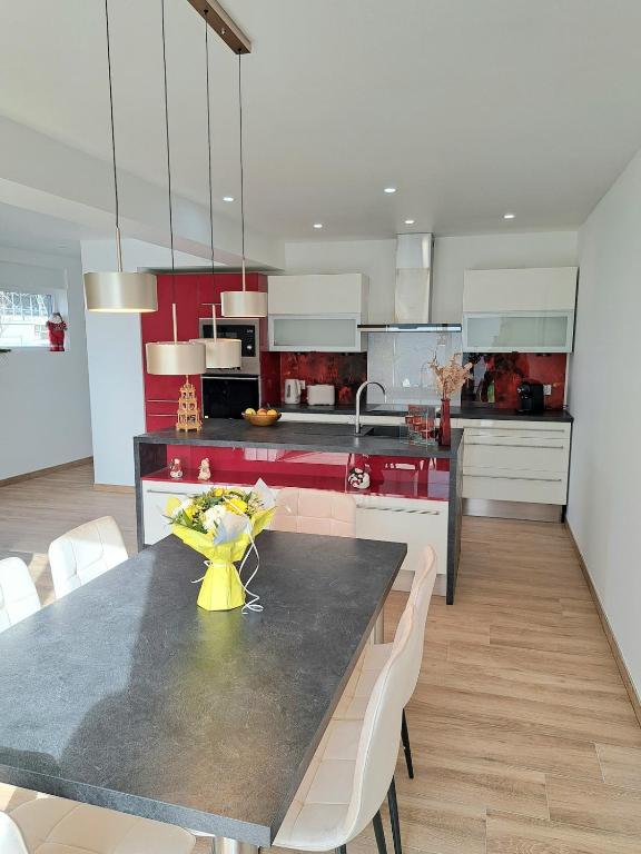 Chez Fernand à Colmar Maison neuve tout confort avec jardin et parking inclus – Foto 17