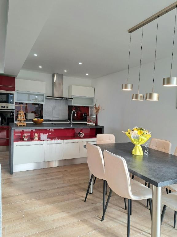 Chez Fernand à Colmar Maison neuve tout confort avec jardin et parking inclus – Foto 20