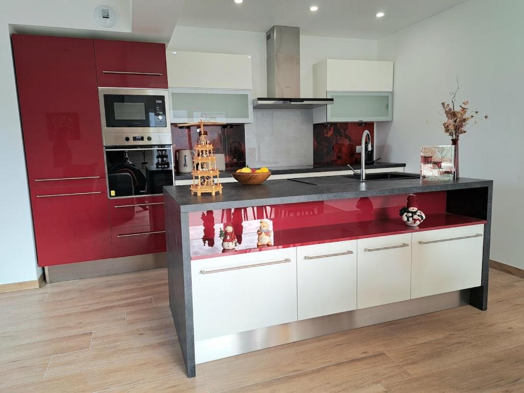 Chez Fernand à Colmar Maison neuve tout confort avec jardin et parking inclus – Foto 22