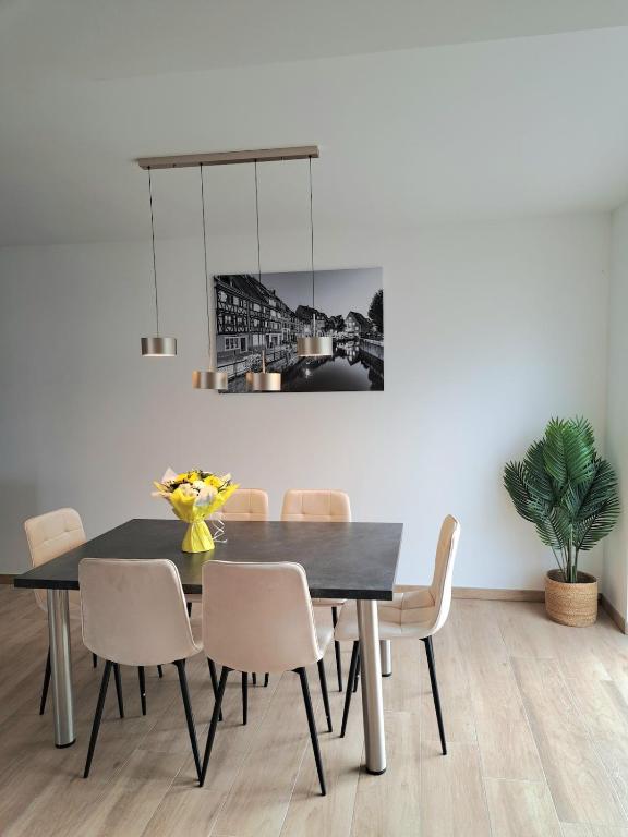 Chez Fernand à Colmar Maison neuve tout confort avec jardin et parking inclus – Foto 24