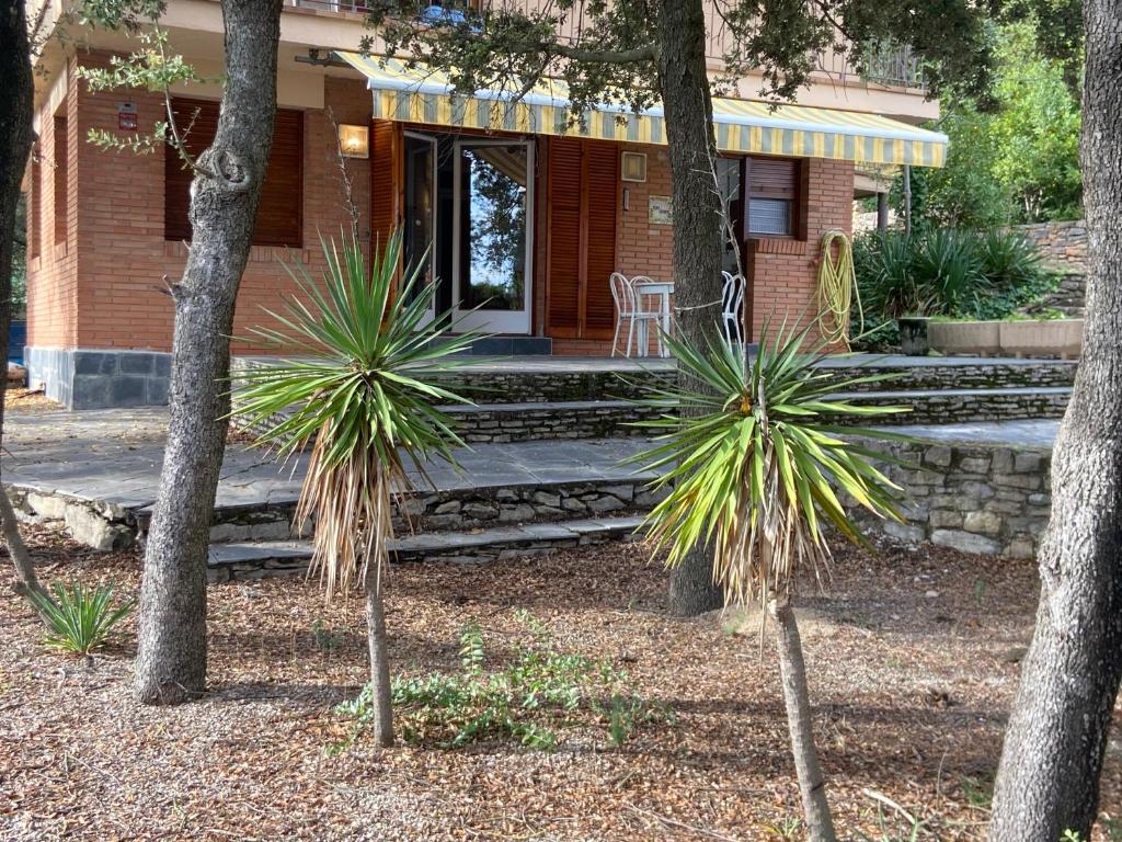 Κήπος έξω από το Mas Oliver de Mas Pujol