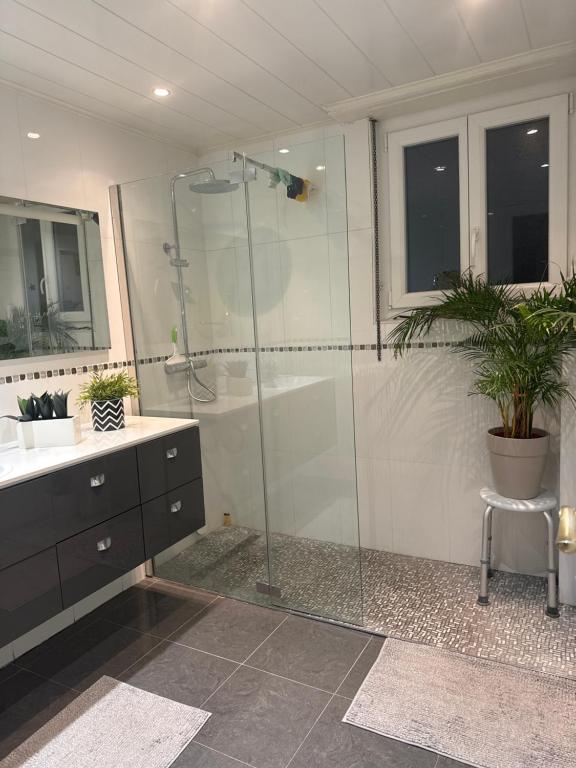 Koupelna v ubytování Appartement proche marche de Noël de Strasbourg