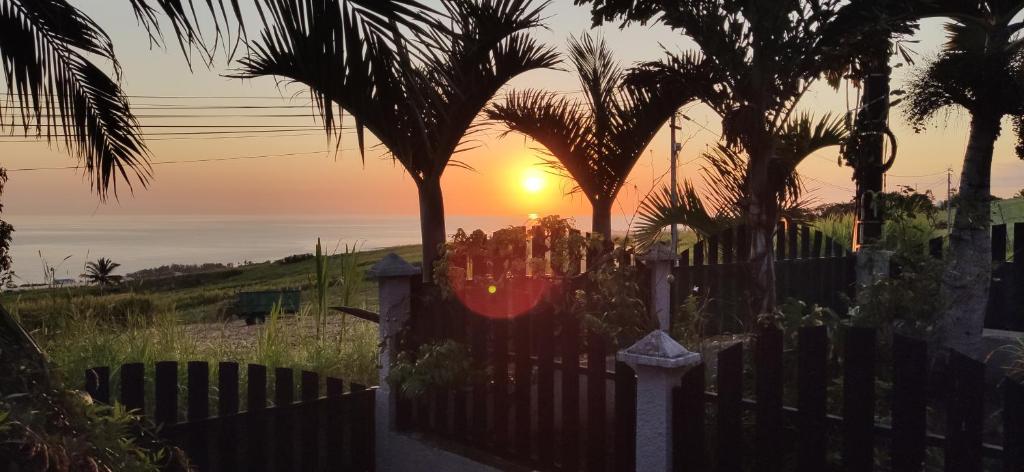 a fence with palm trees in front of a sunset at Fleur de Canne in Saint-Pierre