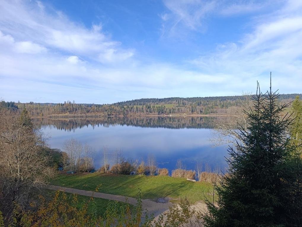 - une vue sur un lac avec un arbre au premier plan dans l'établissement Refuge du Renard au Bord du Lac, à Malbuisson