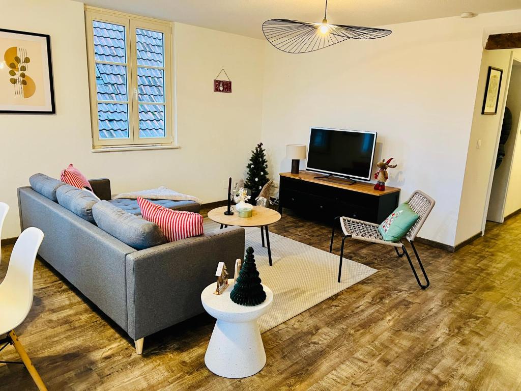 een woonkamer met een bank en een tv bij Alsace's Home in Geispolsheim