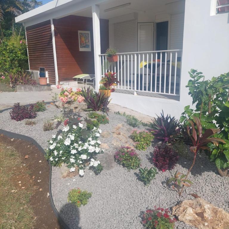 un giardino davanti a una casa con fiori di ALAMANDA DES ILES, a Sainte-Anne