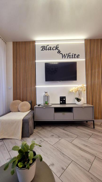 Μια τηλεόραση ή/και κέντρο ψυχαγωγίας στο Apartament Black-White