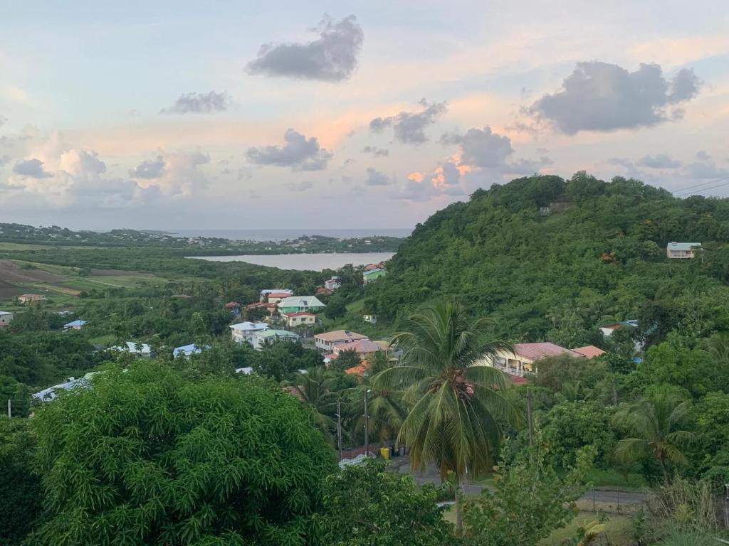 Příroda nedaleko apartmánu