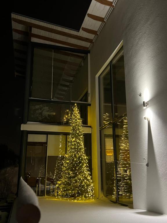 Fotografie z fotogalerie ubytování Luxury Riverside Villa w Magnificent River Views v destinaci Rovaniemi