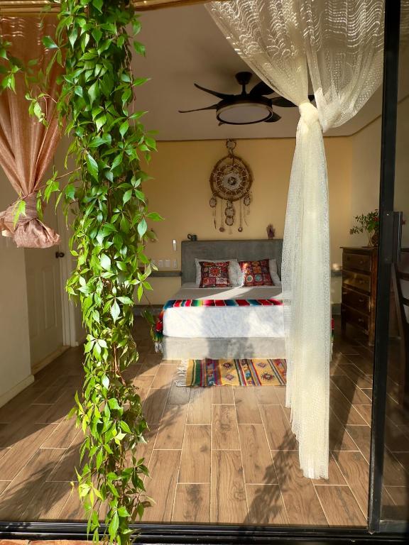 a bedroom with a bed with a green ivy curtain at Casa Jasmin Bed & Breakfast in Troncones