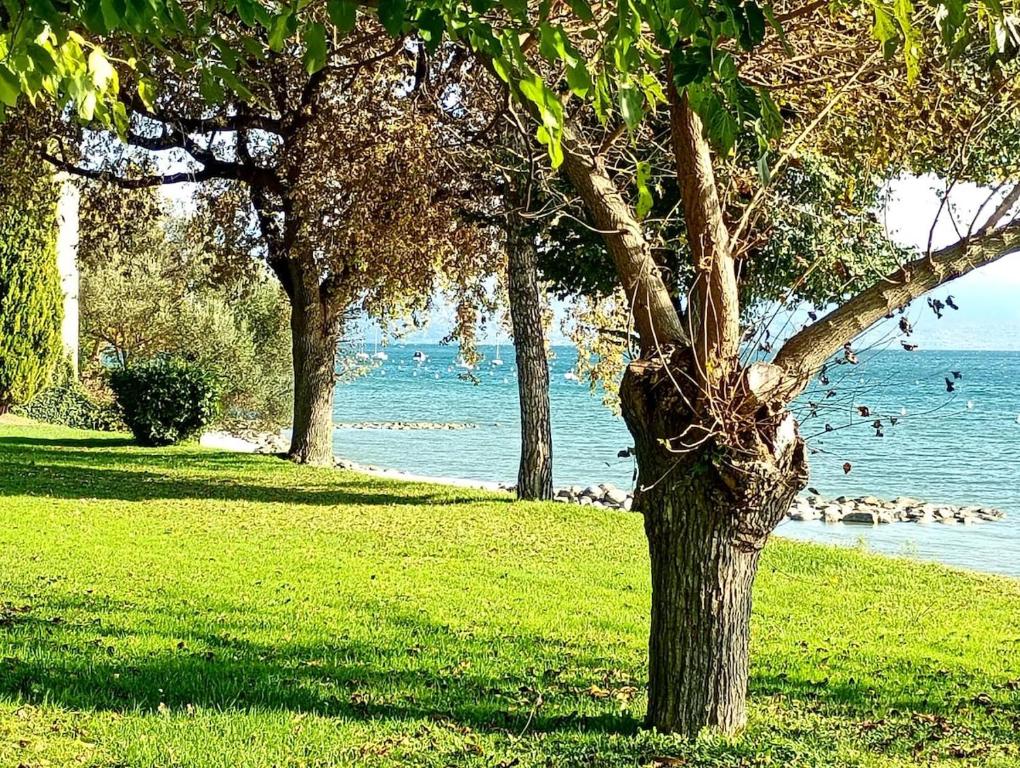Il Melograno Apartment