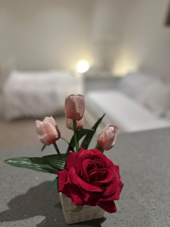 تصویر اتاق‌های شقه رقم 2 - تصویر ۲