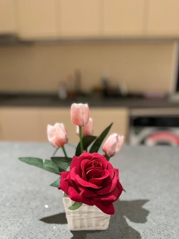 فضای داخلی شقه رقم 2 در نجف - تصویر ۳