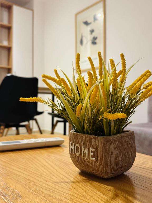 Fotografie z fotogalerie ubytování Central View Tirana v destinaci Tirane