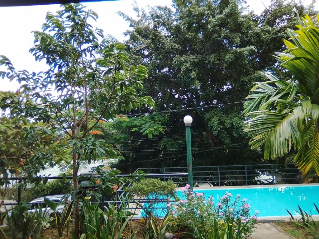 Πισίνα στο ή κοντά στο villa victoria divine