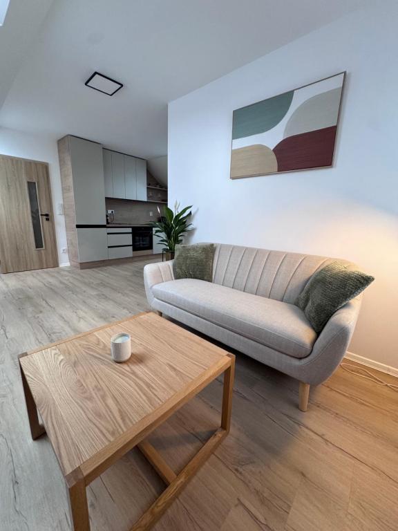 Kuchyň nebo kuchyňský kout v ubytování Apartmán Veronika