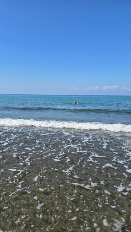 a beach with the ocean and a person in the water at Eni's Villa, 2km from Vain Beach in Lezhë