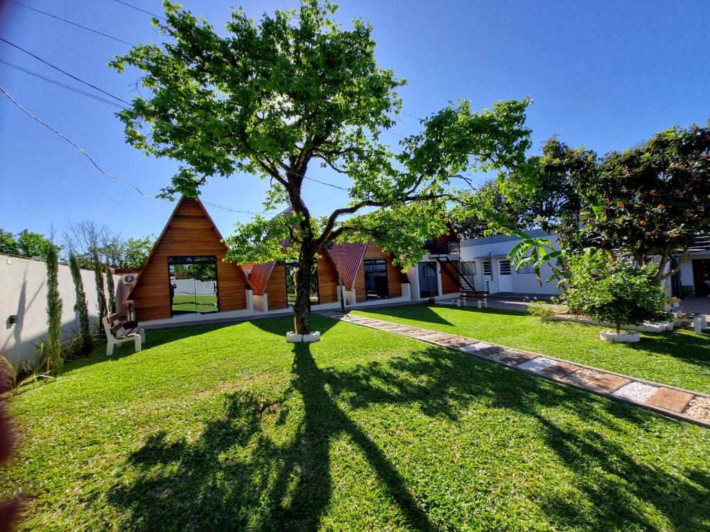 a tree in the yard of a house at Hotel Do Parque in Ijuí