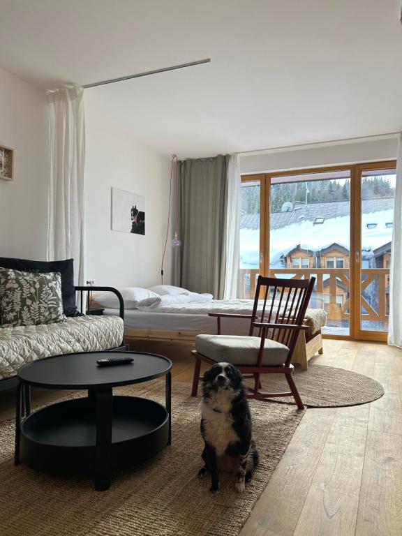 - un salon avec un chien assis à même le sol dans l'établissement Studio apartment ASKA, à Jahorina