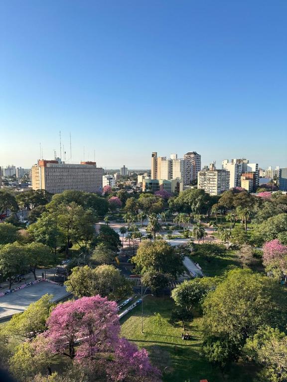 a view of a city with trees and buildings at Departamento Resistencia Centro in Resistencia