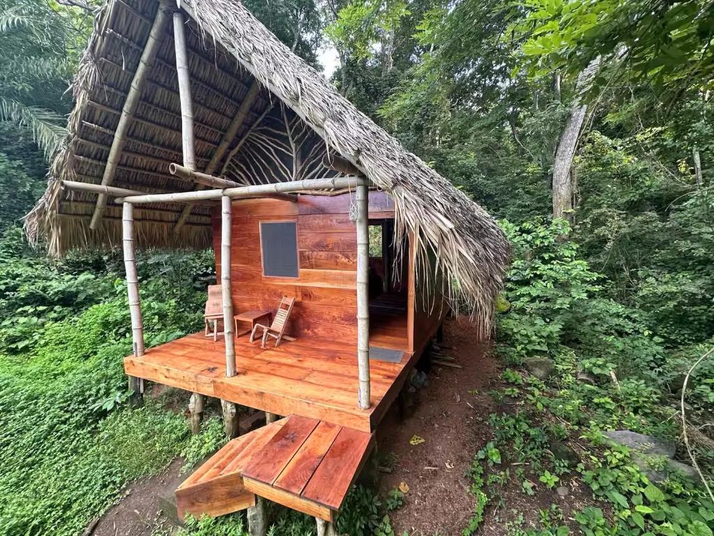 Writer's Cabin 야외 정원