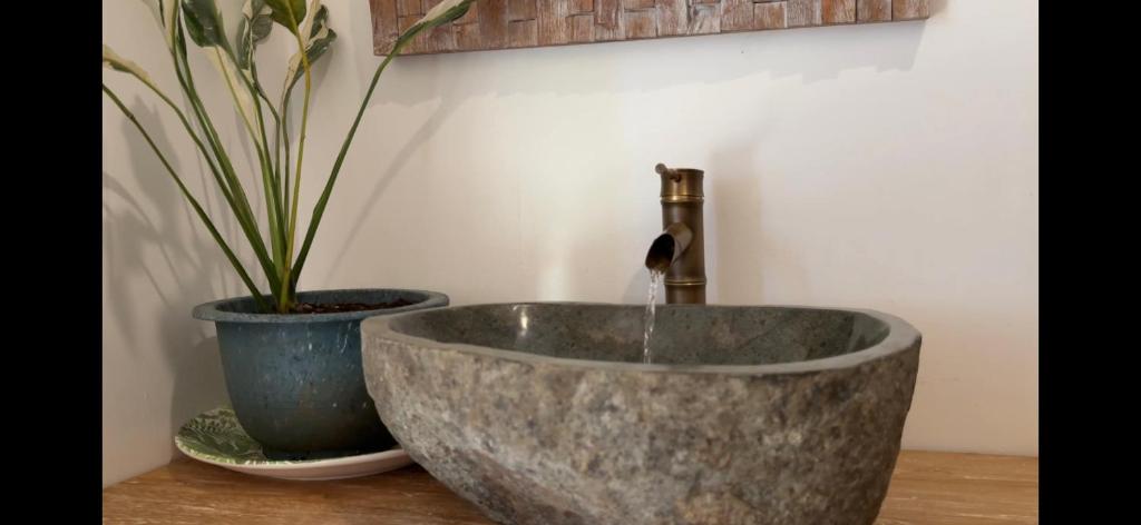 un lavabo de hormigón con grifo y dos plantas en maceta en Revatua Lodge - Piscine privée et petit-déjeuner inclus, en Pueu