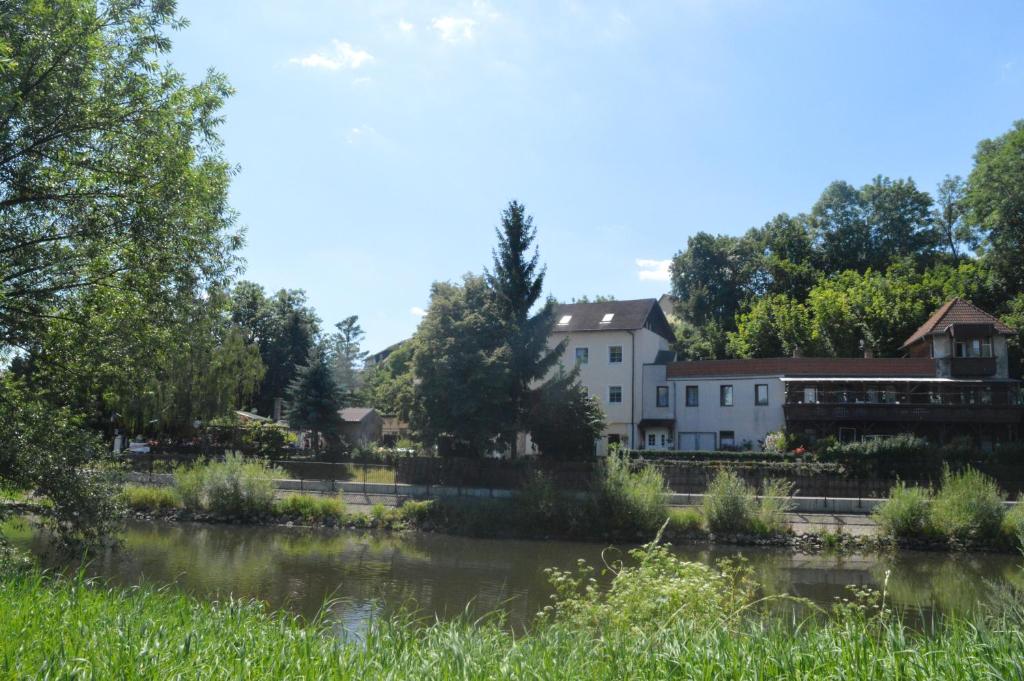 Blick auf einen Fluss mit Häusern und Bäumen in der Unterkunft Pension Gasthaus zum Pegel in Naumburg