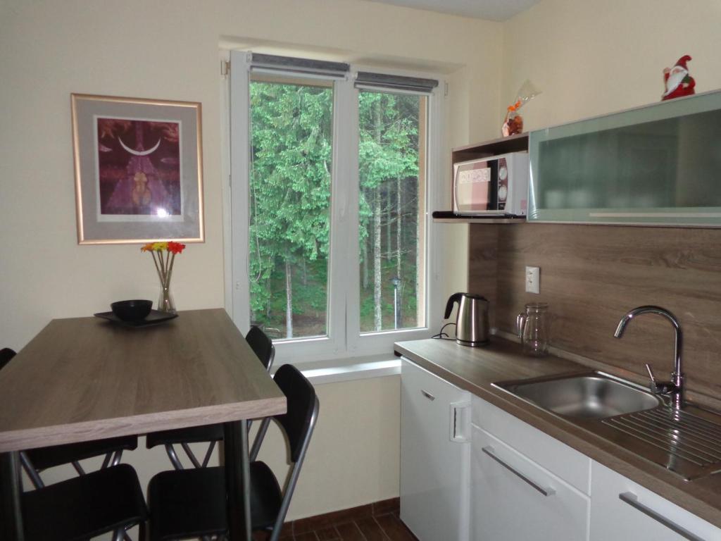 a kitchen with a table and a sink and a window at Jasna 96 II in Belá