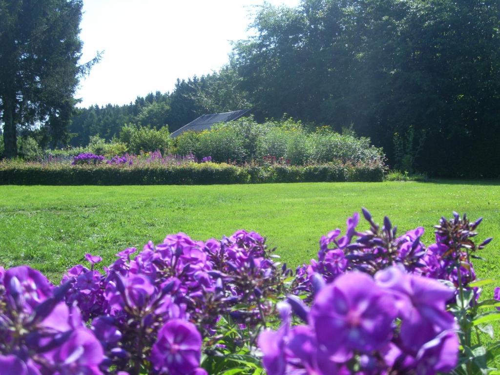 Zahrada ubytování Heidehof Hellenthal