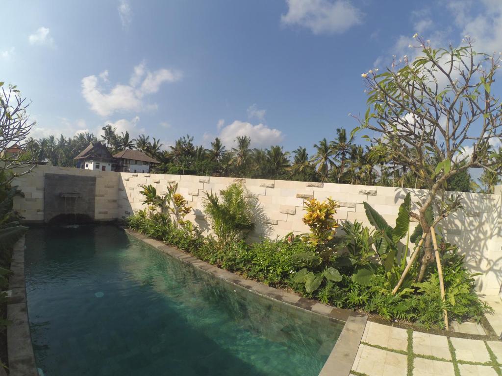una piscina di fronte a un muro bianco di Dana Jaya Villa ad Ubud