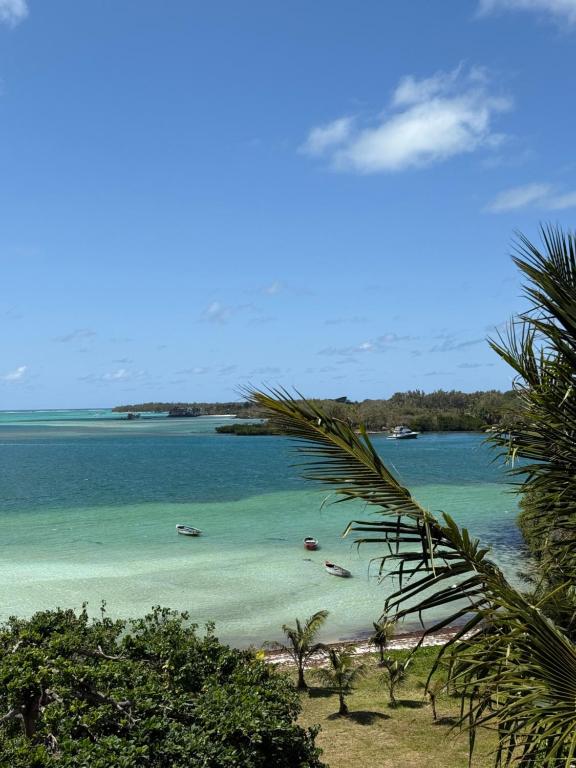 Φυσικό τοπίο κοντά σε αυτό το διαμέρισμα