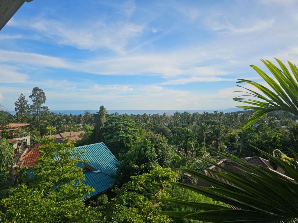 a view of a jungle with a blue roof and trees at Seaview Studio Jungle in Lamai