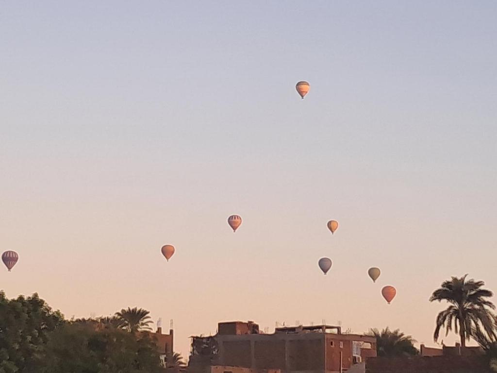 eine Gruppe von Heißluftballons, die in den Himmel fliegen in der Unterkunft Set ma'at in Luxor