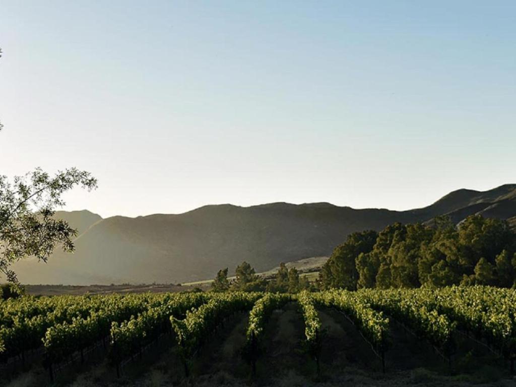 ein Ackerland mit Bergen im Hintergrund in der Unterkunft Arendsig Wine Estate and River Eco Cabin in Bonnievale
