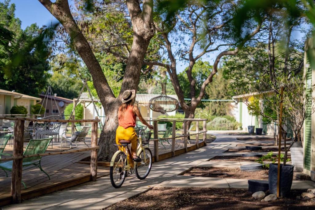 a woman riding a bike on a wooden bridge at Eretz Zeelim in Ẕeʼelim