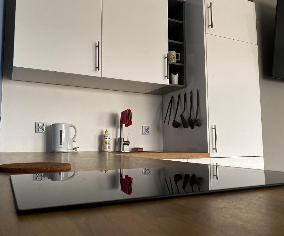 Łowicka 28 Business Apartments Gliwice - Faktura VAT & Parking - Apartment Mit Zwei Schlafzimmern