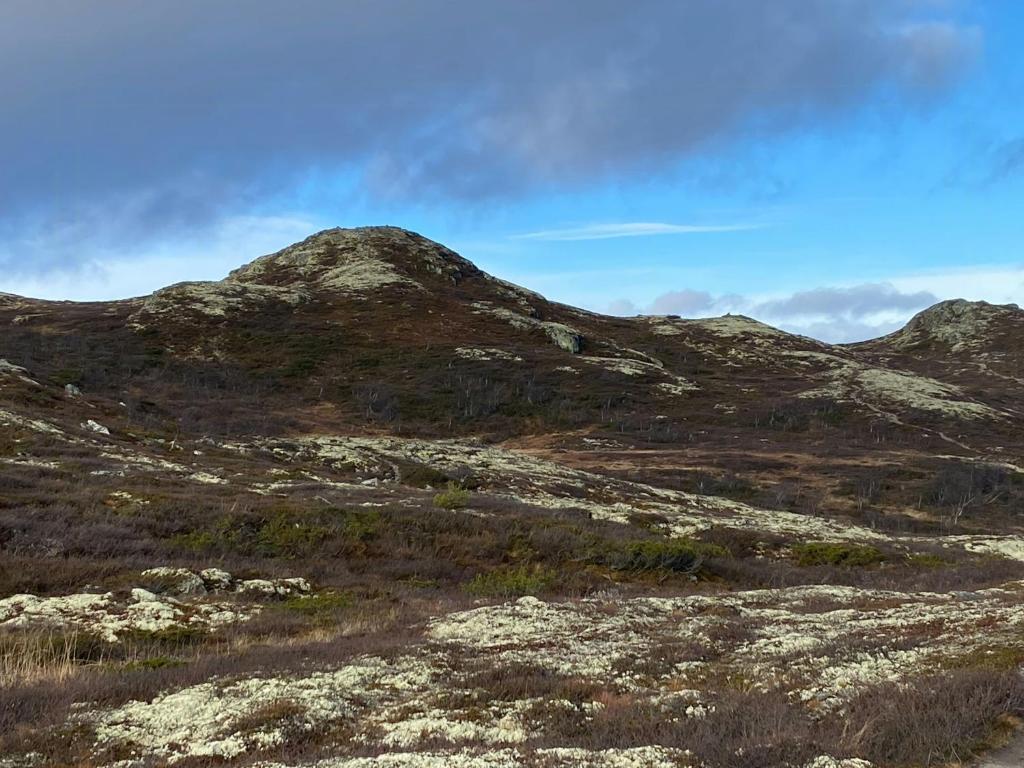 Naturlandskabet i nærheden af feriehuset