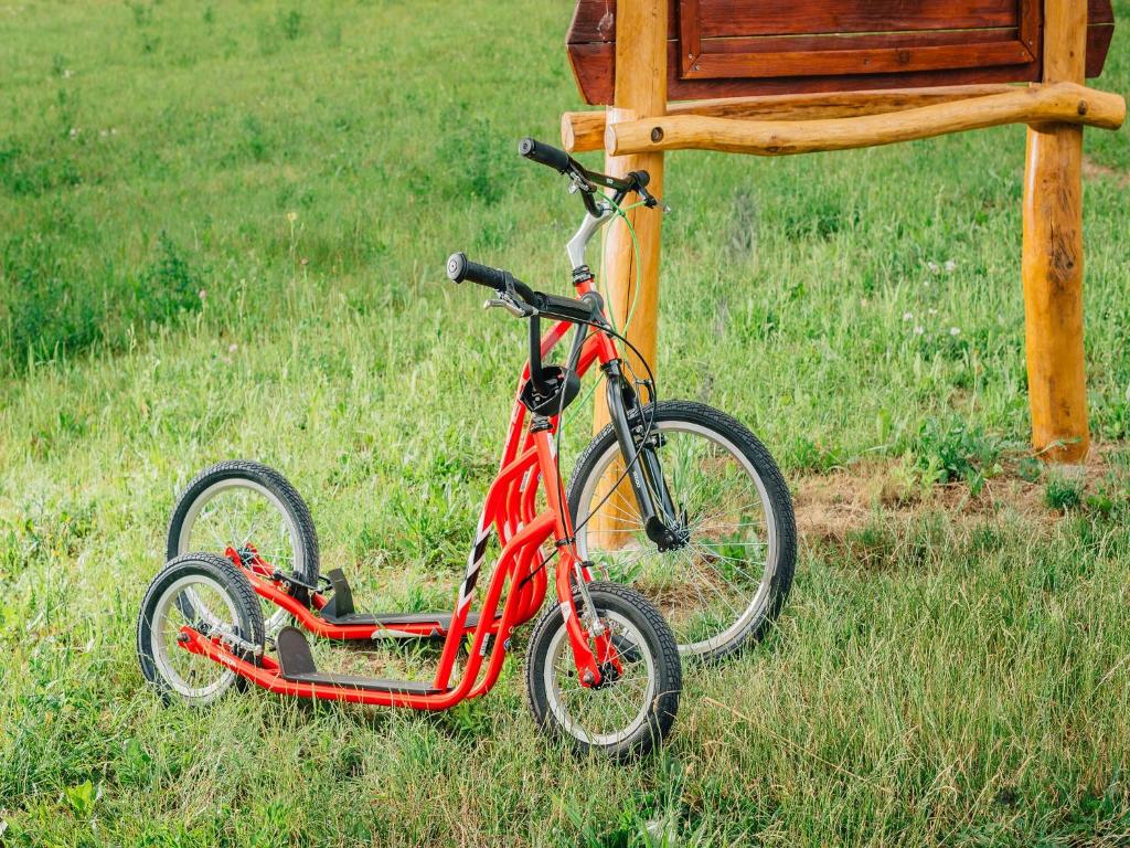 Jízda na kole v ubytování Maximus Resort nebo okolí