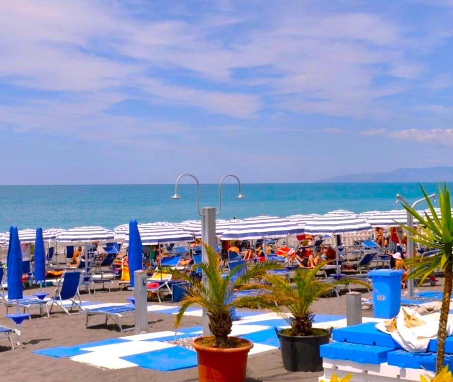 ein Strand mit Stühlen und Sonnenschirmen und das Meer in der Unterkunft Sporting Club Resort in Praia a Mare