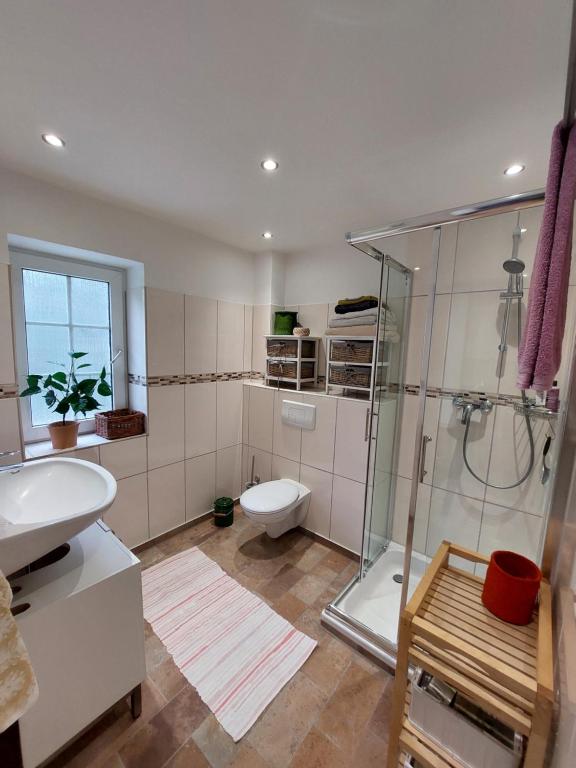 a bathroom with a shower and a toilet and a sink at Domus Campus Latus - Ferienwohnungen Breitenfeld in Gumtow
