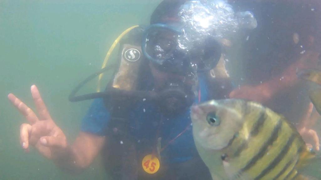 Επισκέπτες που μένουν στο Beachglow