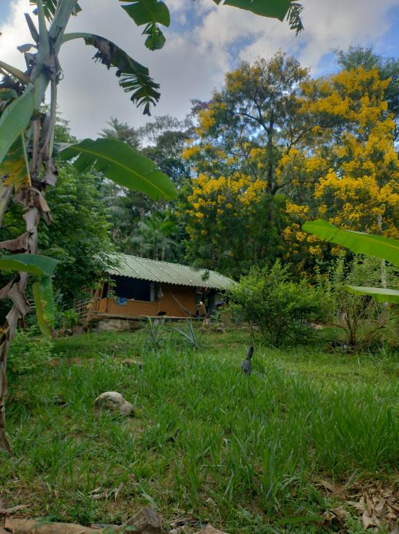 ein Vogel, der im Gras vor einem Haus steht in der Unterkunft Fazenda encantado in Mangaratiba