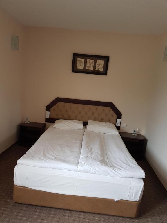 Postel nebo postele na pokoji v ubytování Hotel Podkovata