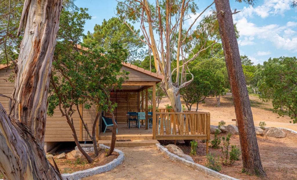 Κήπος έξω από το Camping California