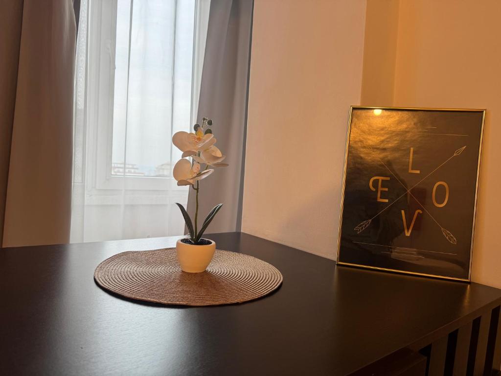 a table with a vase with a flower on it at Abe Studio in Craiova