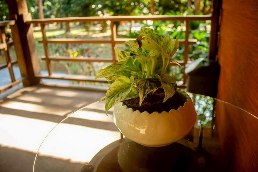 En have udenfor Baan Boon Homestay