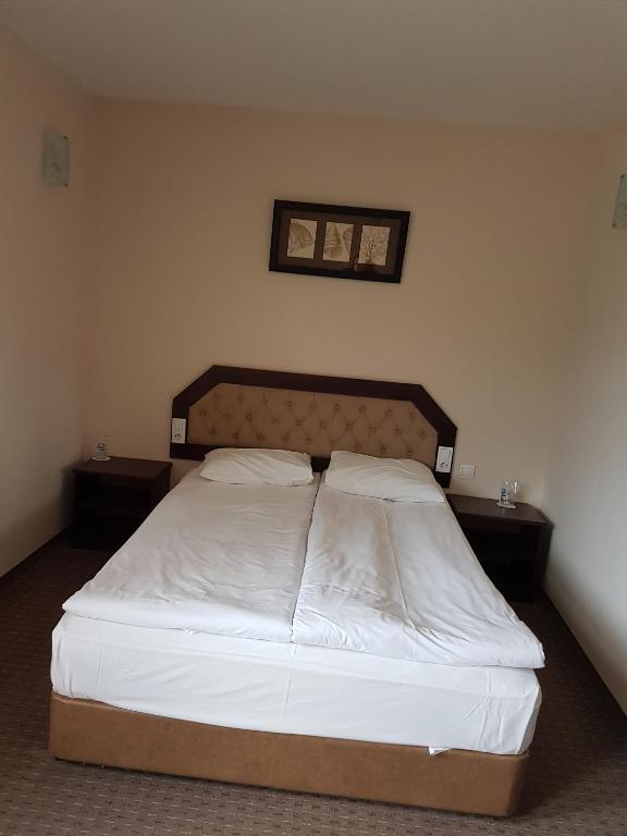 Postel nebo postele na pokoji v ubytování Hotel Podkovata