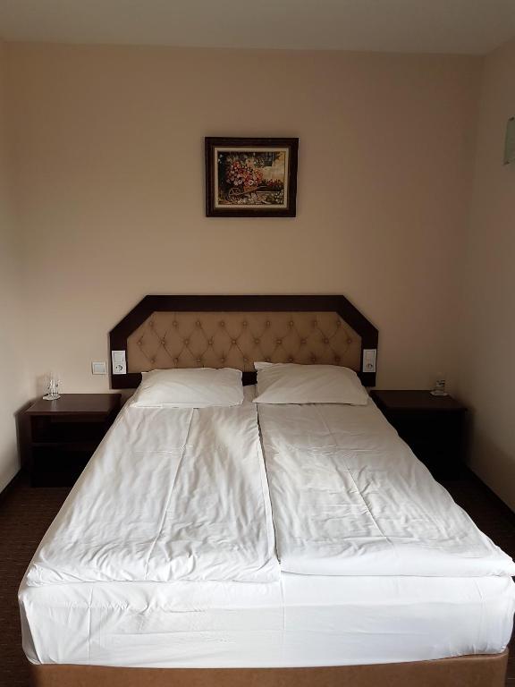 Postel nebo postele na pokoji v ubytování Hotel Podkovata