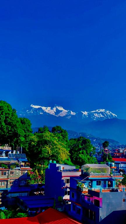 Pokhara Apartments Inn - Apartamento Superior